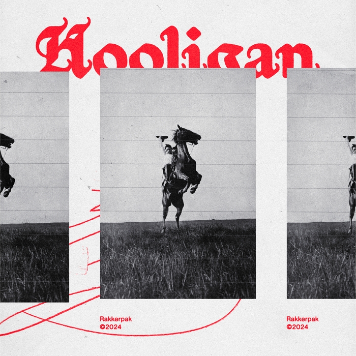 Hooligan ,  ,  199066106105