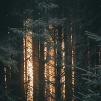 South ,  ,  199066211717