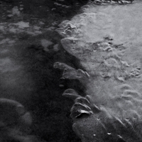 Quantum3#2 ,  ,  199066232835