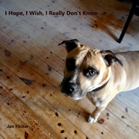 I Hope, I Wish, I Really Don't Know ,  ,  199066335208