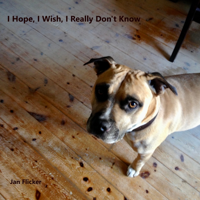 I Hope, I Wish, I Really Don't Know ,  ,  199066335208