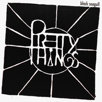 Pretty Things ,  ,  199066362082