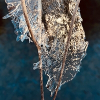 Here To Go/You Are Overalt ,  ,  199066633762