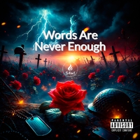 Words Are Never Enough ,  ,  199066717325