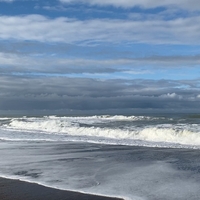 Sæd ,  ,  198846704005