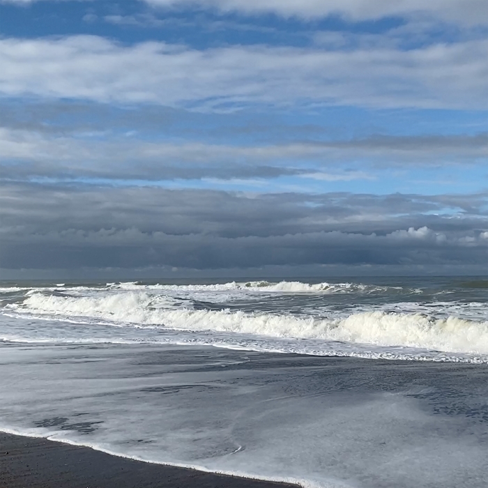 Sæd ,  ,  198846704005