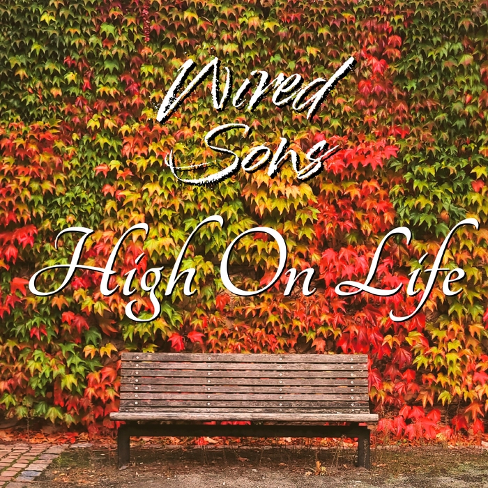 High On Life ,  ,  7300340154726