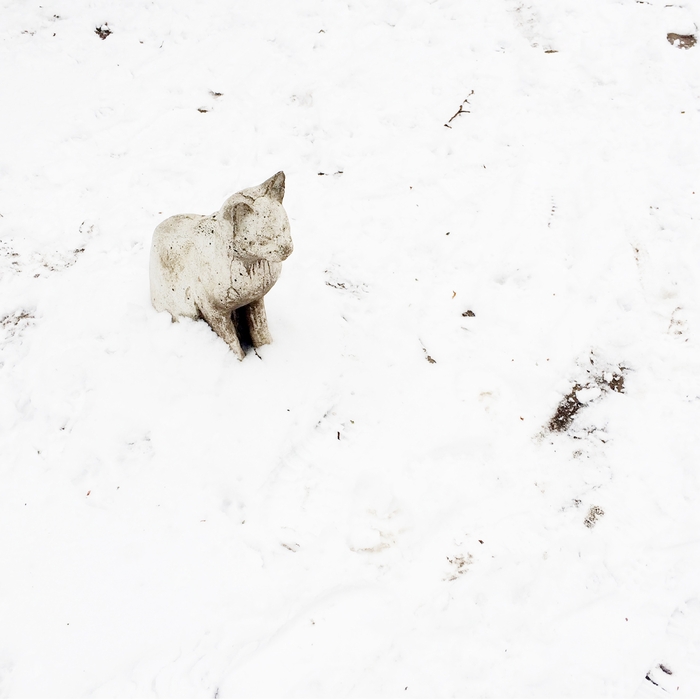 Rosehip/VeraFloats ,  ,  199066834626