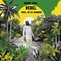 Rebel ,  ,  199066407110