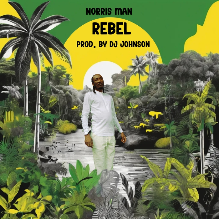 Rebel ,  ,  199066407110