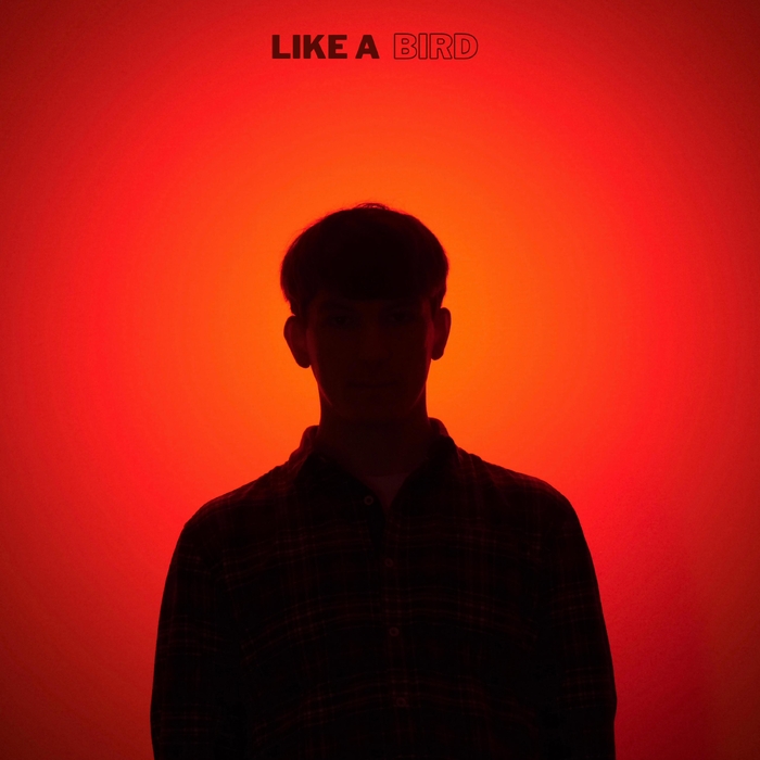 Like A Bird ,  ,  199350163623