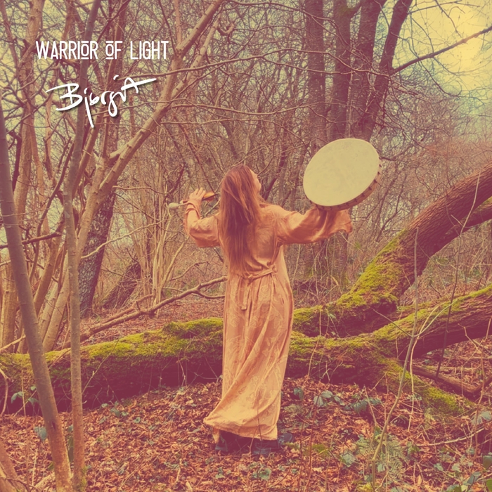 Warrior of light ,  ,  199350026836