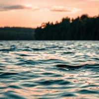 Waves ,  ,  199350102516