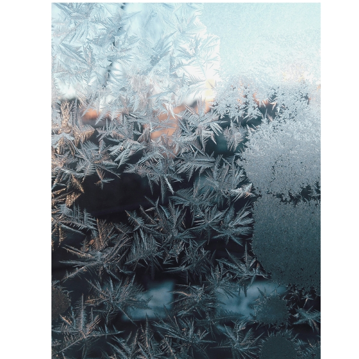 Snow ,  ,  199350091261