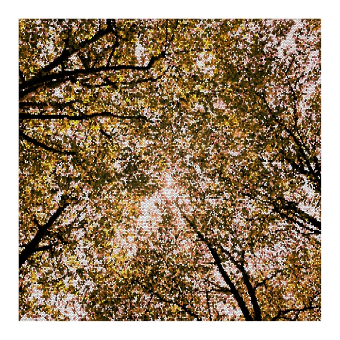 Herren Lever ,  ,  199350158674