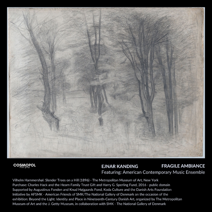 FRAGILE AMBIANCE ,  acoustic ,  199350166839