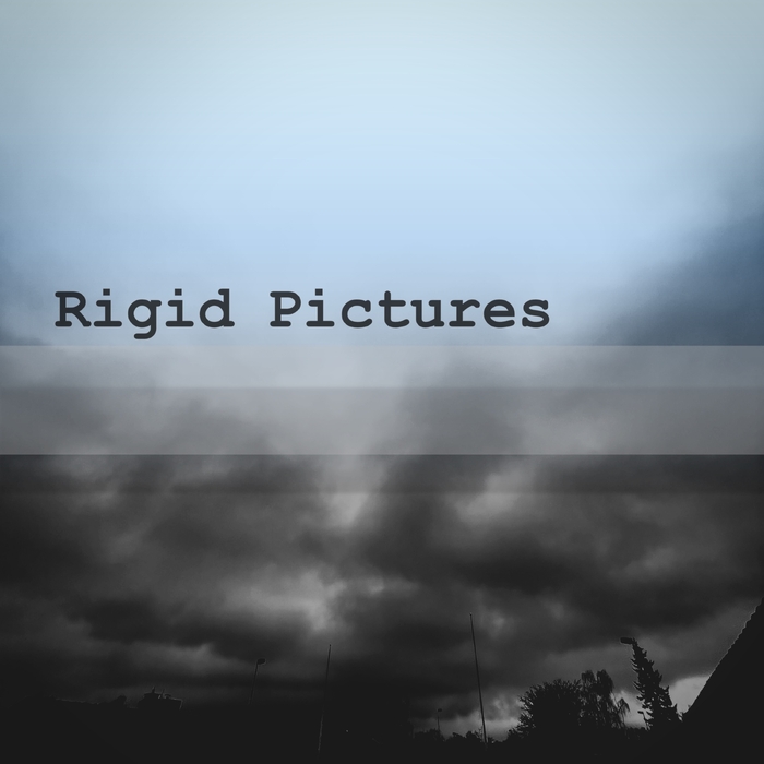 Rigid Pictures ,  ,  199350769412