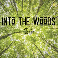 Into the woods ,  ,  3617221228020