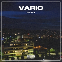 VARIO ,  ,  199538103069