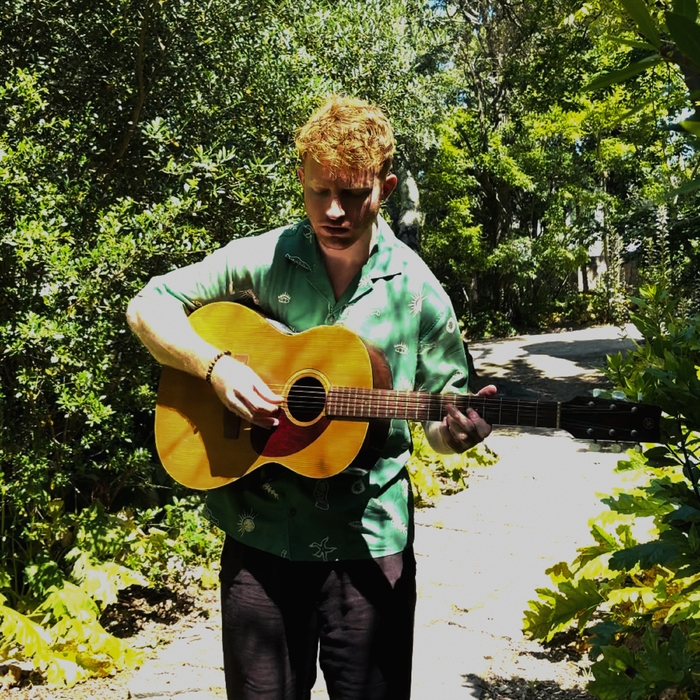 Sunny Day ,  ,  199538470765