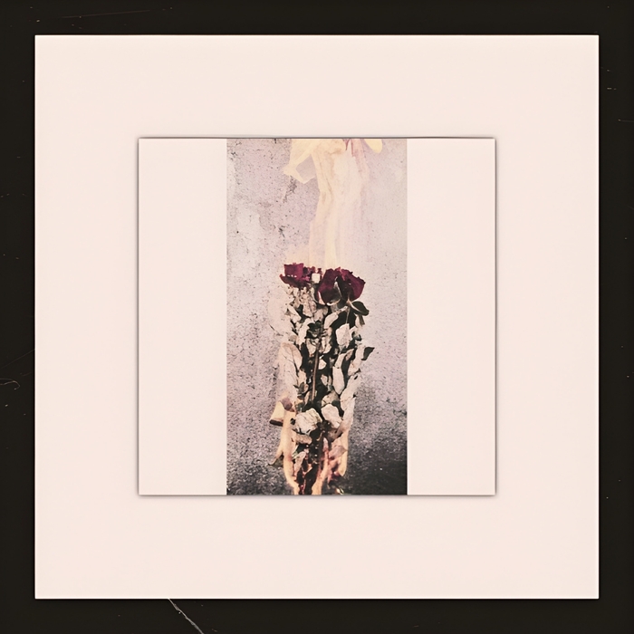 Wither ,  ,  199538515176