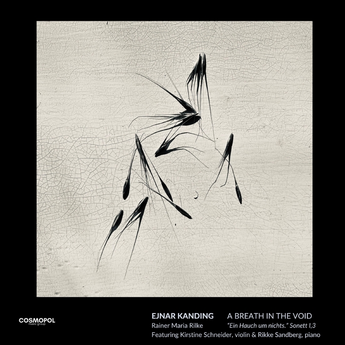 A BREATH IN THE VOID ,  ,  199538649796