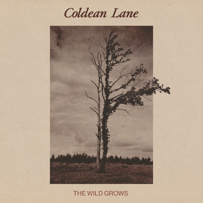 The Wild Grows ,  ,  199538542622