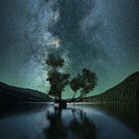 Mose ,  ,  199538679700