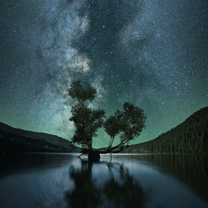 Mose ,  ,  199538679700