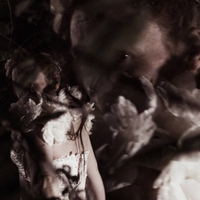 The Dark Referee ,  ,  198588104200