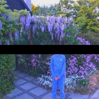 Tårer tørrer af sig selv ,  ,  199538615005