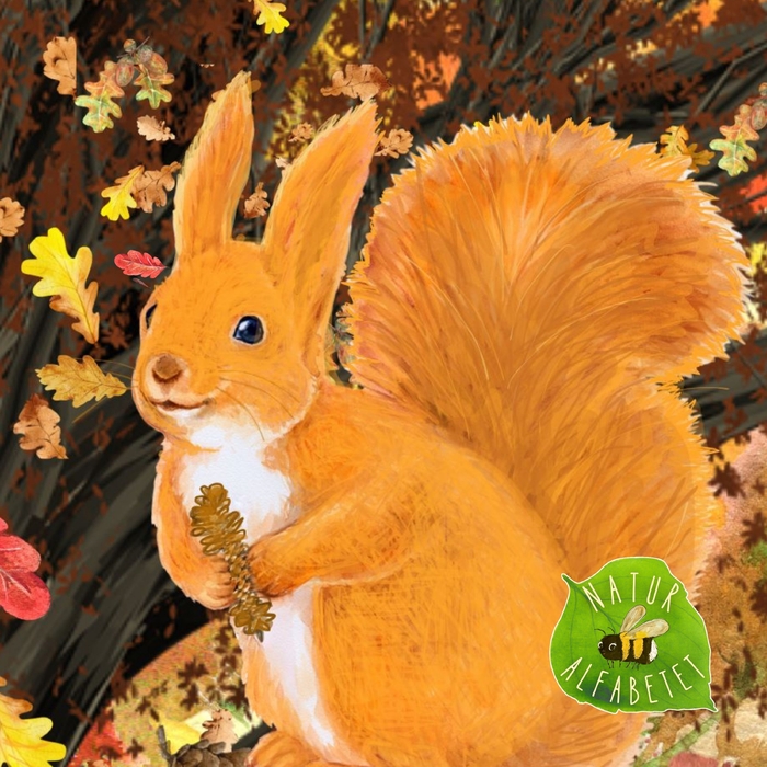 Natur Alfabetet Egernet Elin ,  ,  199538947199