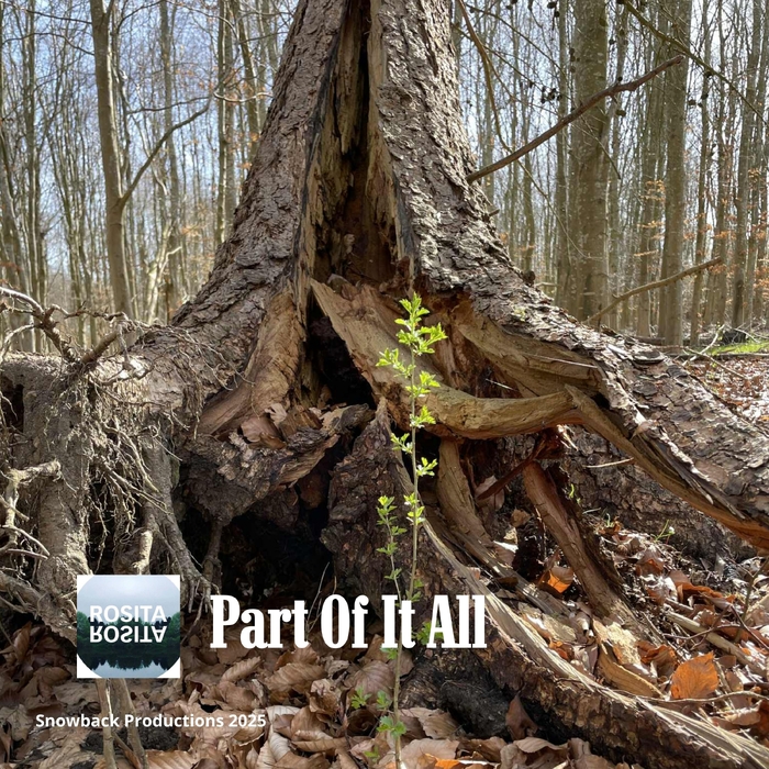 Part Of It All ,  ,  199538986679