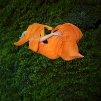 Dream on ,  ,  199806039489