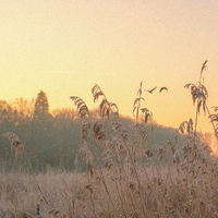 List ,  ,  199806142820