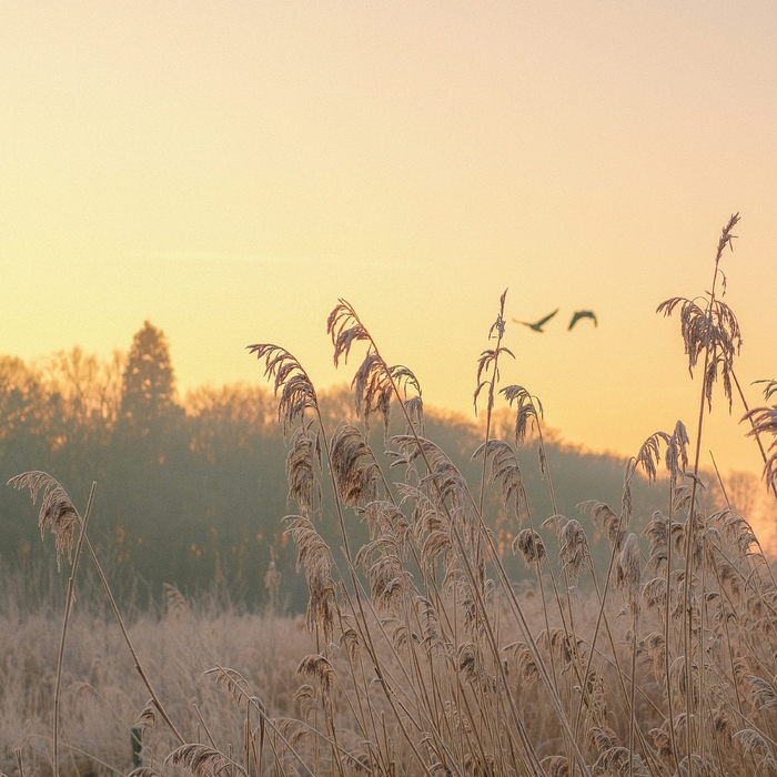 List ,  ,  199806142820