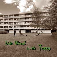 Like Wind in the Trees ,  ,  199806312469