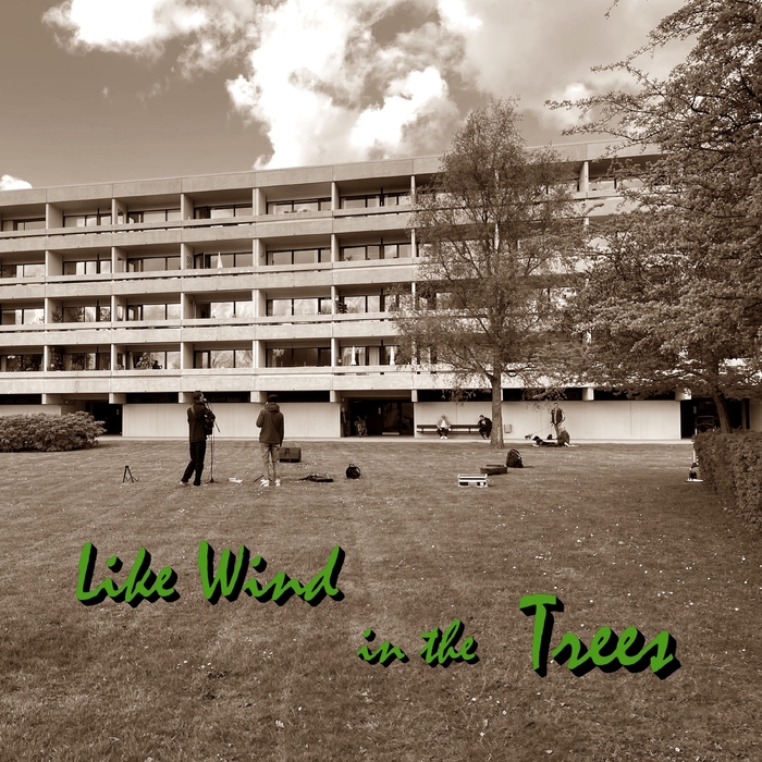 Like Wind in the Trees ,  ,  199806312469