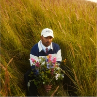 Solskin Midt I Sommerregn / Hypnose ,  ,  199806244173