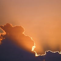 Speak ,  ,  199806294772