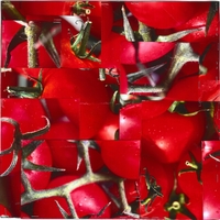 Music for Tomatoes ,  ,  199806313787