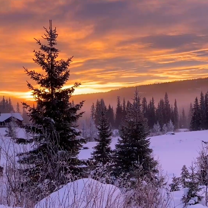 Føl ,  Piano version ,  199538915037