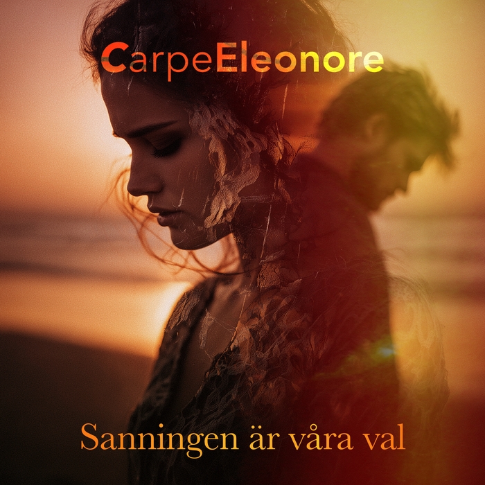 Sanningen är våra val ,  ,  199806601068