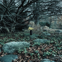 What Winter Froze Solid ,  ,  199806783450