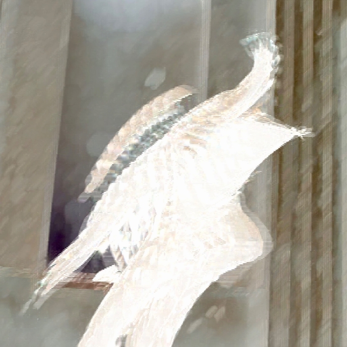 Come Alive ,  ,  199806176542