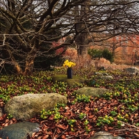 Awakening ,  ,  199806920596