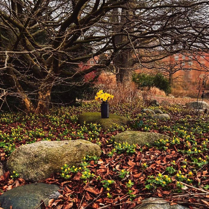 Awakening ,  ,  199806920596