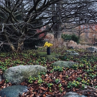 An Ode To Spring ,  ,  199806936801