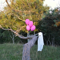 Gå Glip ,  ,  199806922408