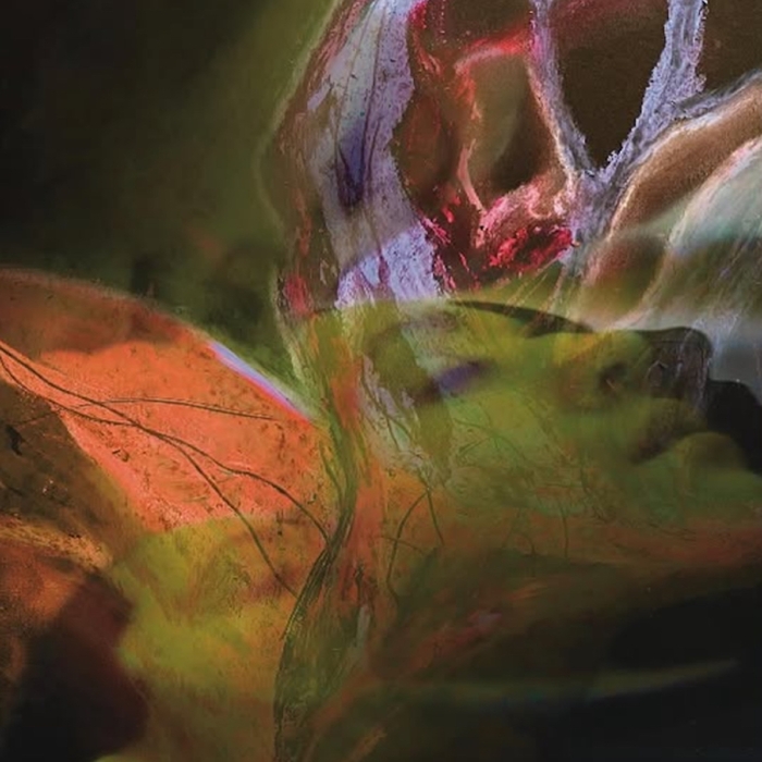 SONGS of the POLYVAGAL ,  ,  199806602867